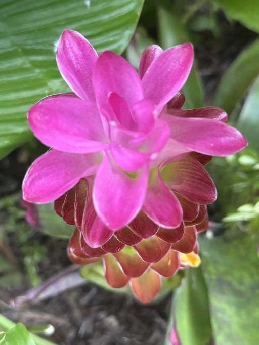 Unknown (1)