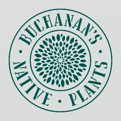 bnp-badge-gray-dkgreen-square